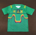 2023/2024 Cameroon National Team Home Shirt
