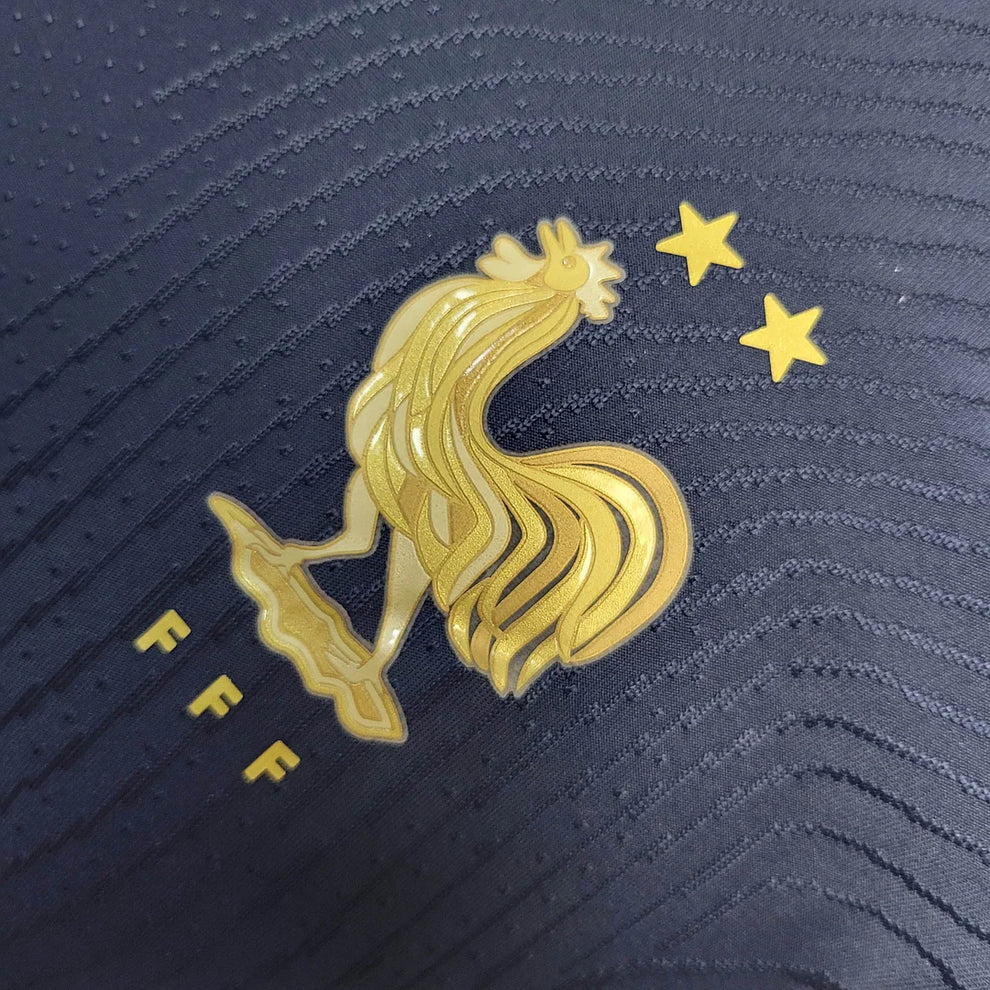 2022 FIFA World Cup France Home Football Shirt- Player Version