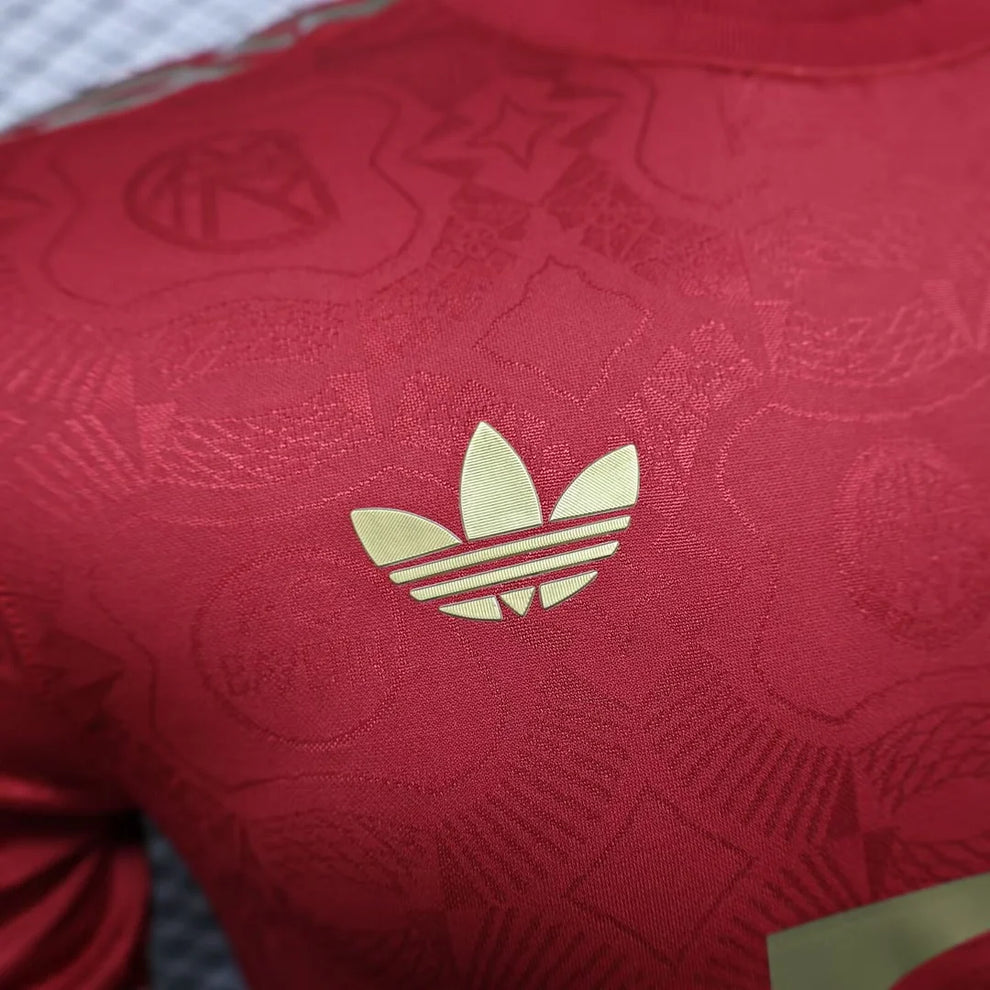 2024/2025 Player Version Bayern Munchen 125th Anniversary Football Shirt