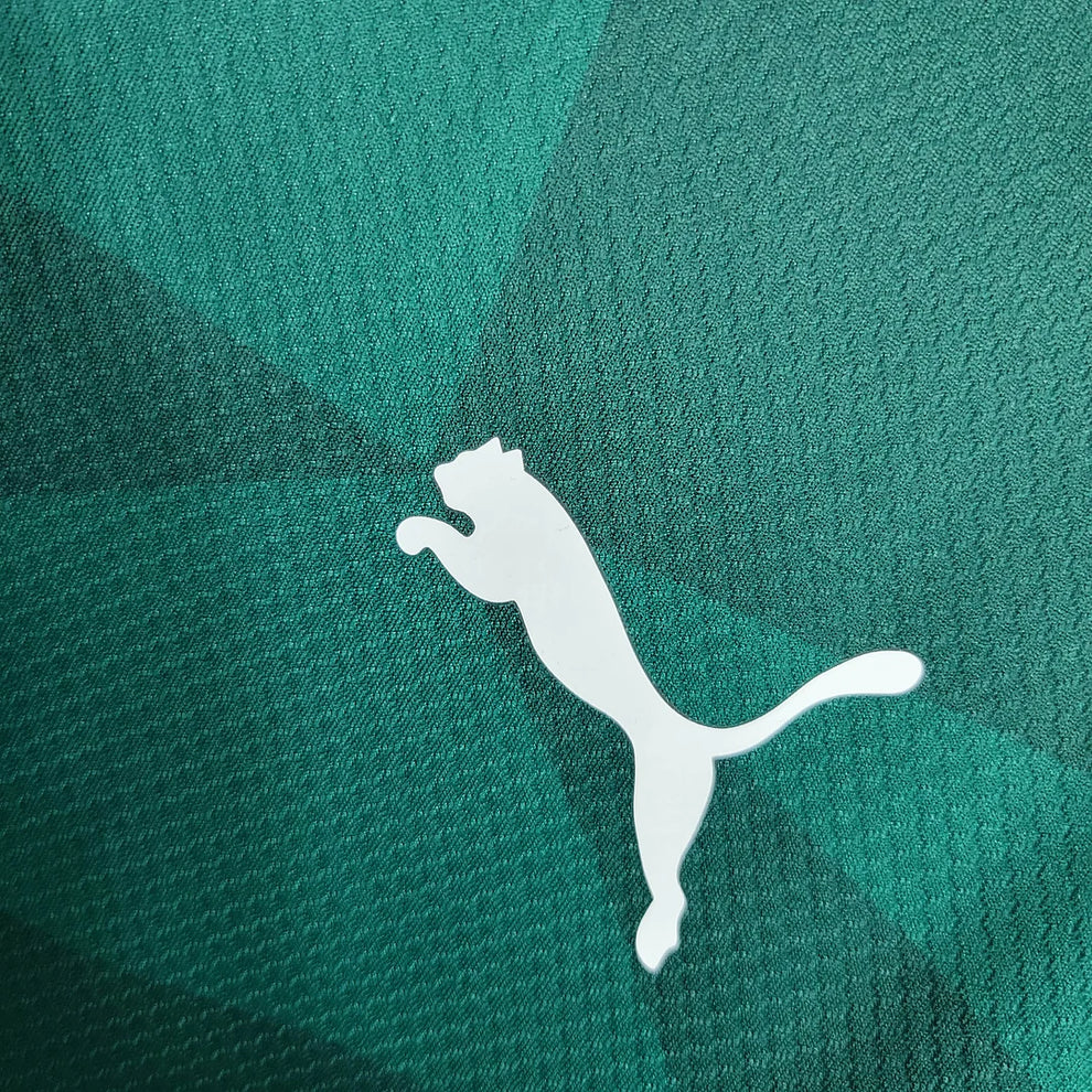 2023/2024 Palmeiras Home Football Shirt